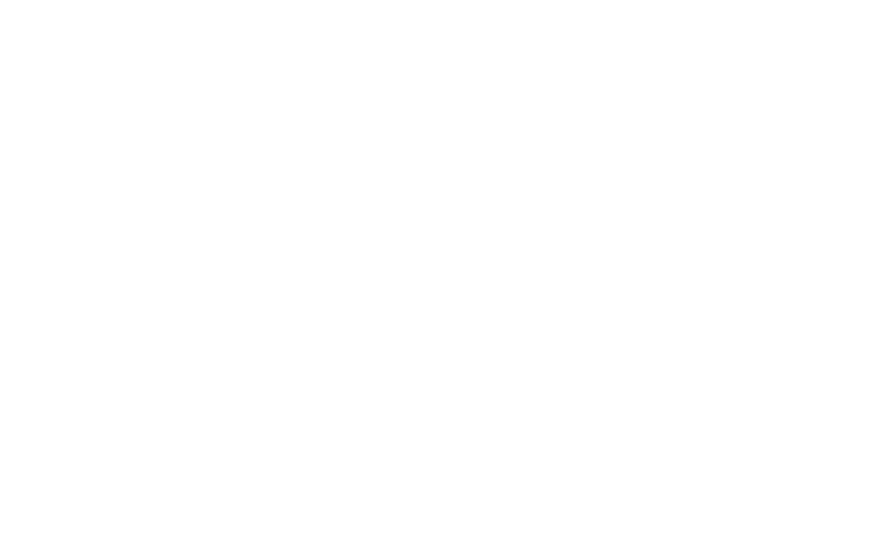 Koala Mascotas